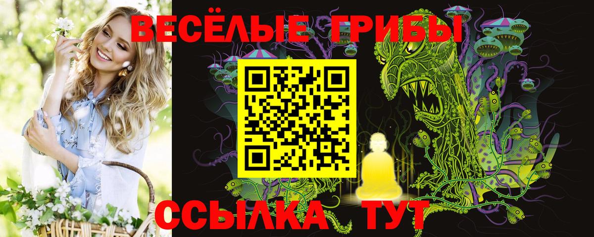 Галлюциногенные грибы ЛСД Тара