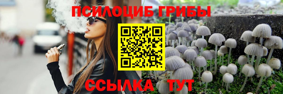 Псилоцибиновые грибы Magic Shrooms  Вход с VPN  Псилоцибиновые грибы мицелий  Тара 